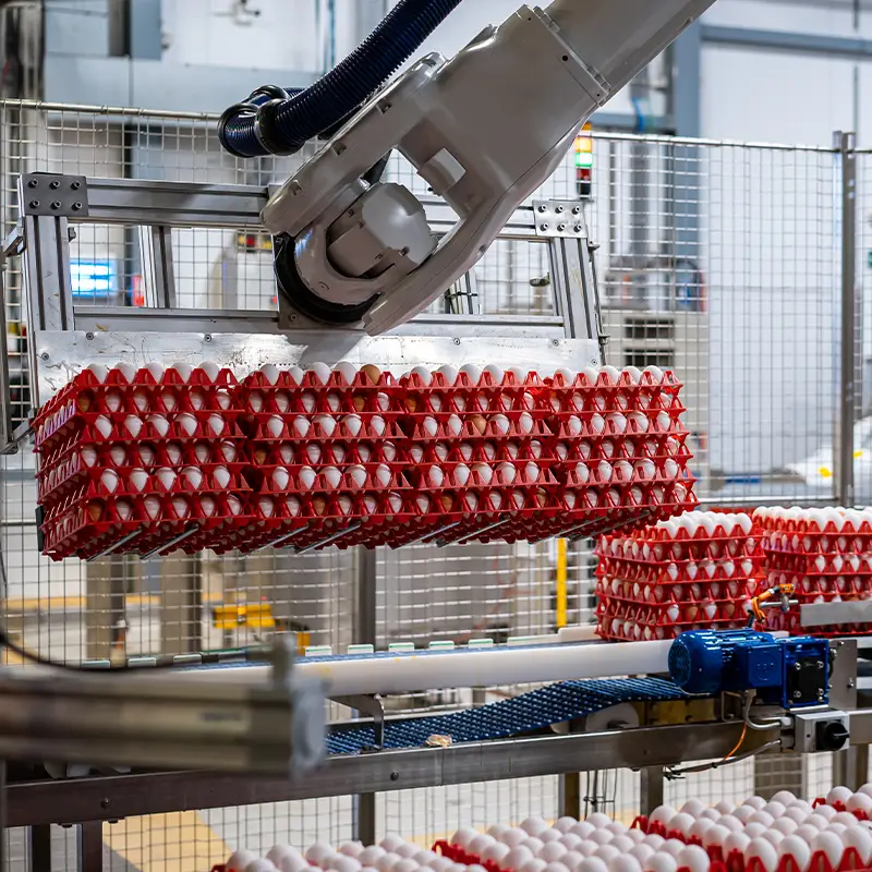 ElstoSmartSolutions-Blog-Eiersorteerder-800×800-00