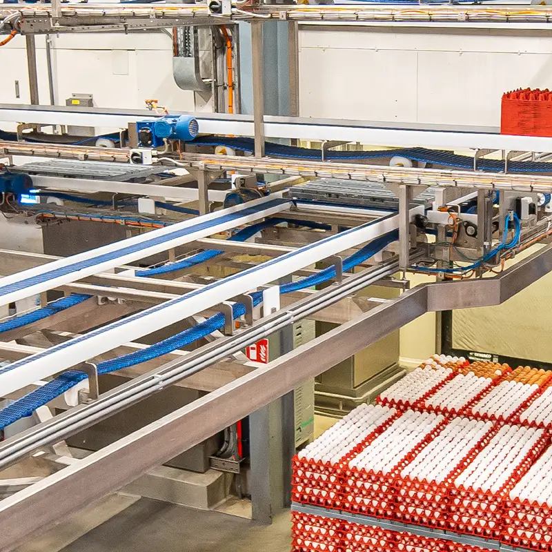 ElstoSmartSolutions-Blog-Geautomatiseerde-eiersorteersystemen-00