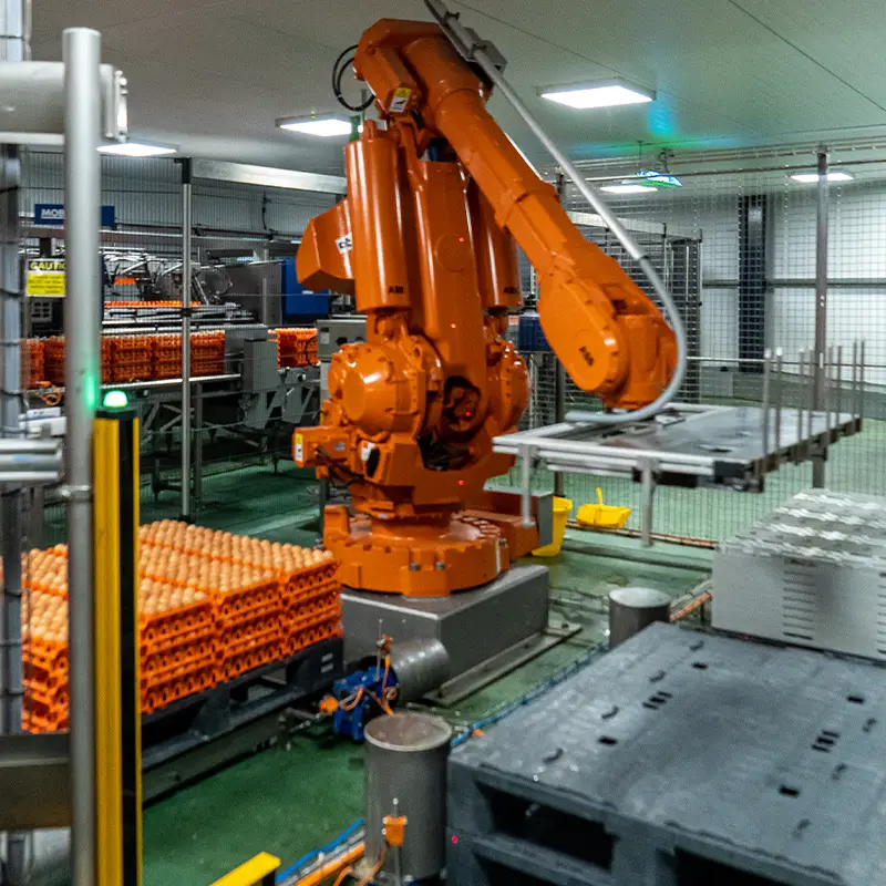 ElstoSmartSolutions-Blog-Waarom-handmatig-depalletiseren-steeds-lastiger-wordt-800×800-01