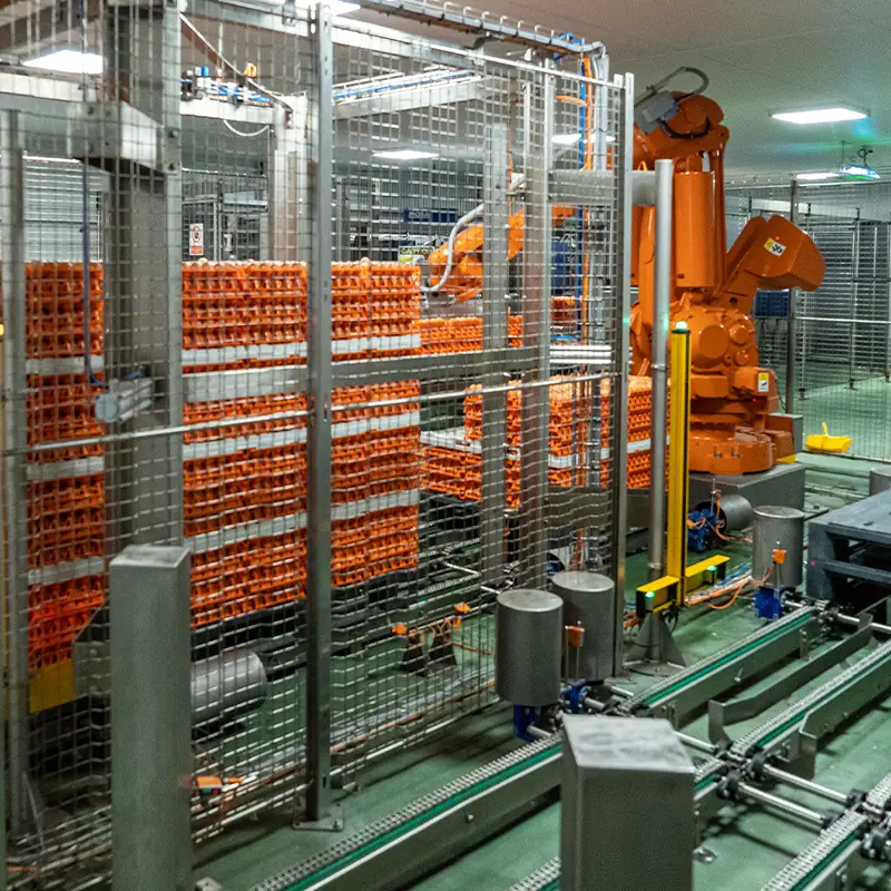 ElstoSmartSolutions-Blog-automatisering-van-eiersorteer-pakstations-800×800-00