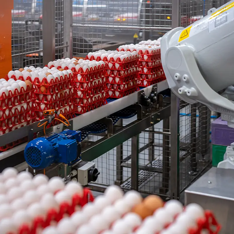 ElstoSmartSolutions-Efficiente-eierwasmachines-voor-boerderijen-800×800-01